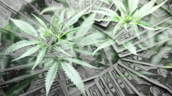 CANNABIS MARKET OPPORTUNITIES & OUTLOOK FOR 2023